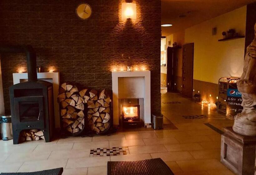 Comfort room with balcony, Apartmány, Penzion, Wellness U Zlaté Rybky