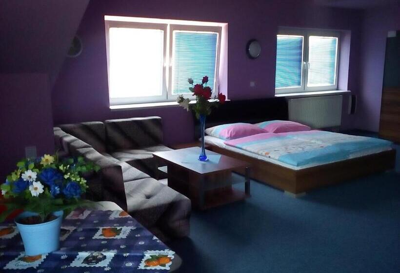 إستديو عائلى, Manhattan Penzion