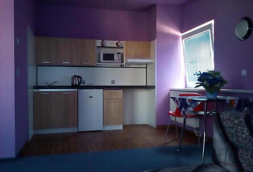 إستديو عائلى, Manhattan Penzion