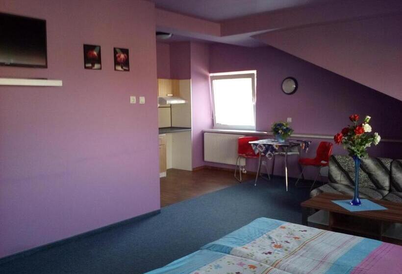 إستديو عائلى, Manhattan Penzion