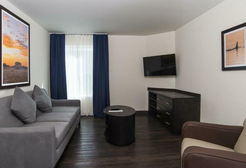 キングサイズベッドのスイートルーム, Candlewood Suites Celaya By Ihg