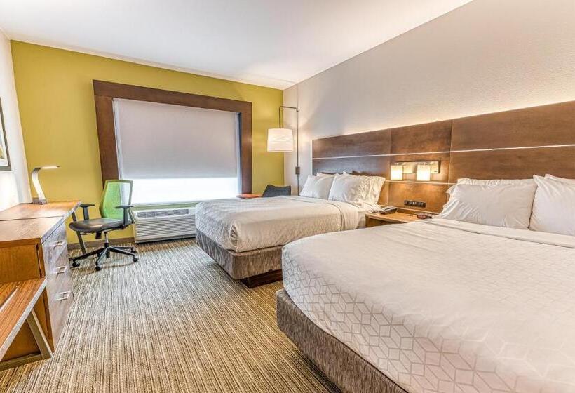 スイート, Holiday Inn Express & Suites   Rantoul, An Ihg