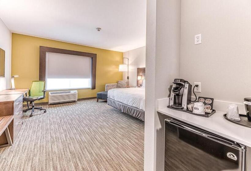 身障者適用キングサイズベッドルーム, Holiday Inn Express & Suites   Rantoul, An Ihg