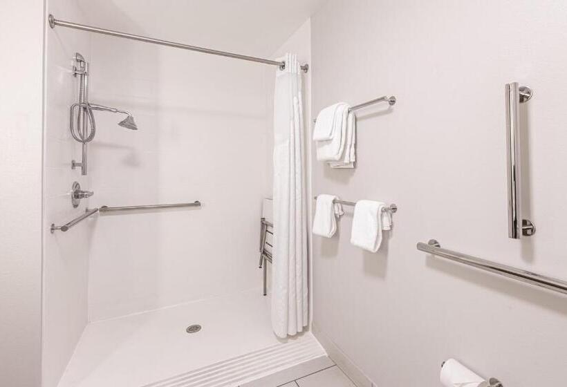 身障者適用キングサイズベッドルーム, Holiday Inn Express & Suites   Rantoul, An Ihg