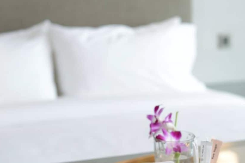 Deluxe-huone, Olive Tree