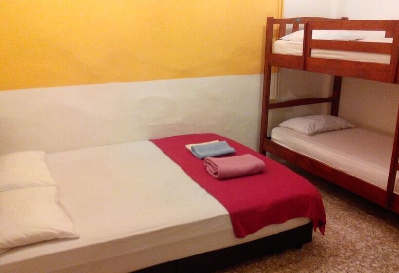 Семейный Номер Совместный Санузел, Cocoa Mews Cafe & Homestay   Hostel