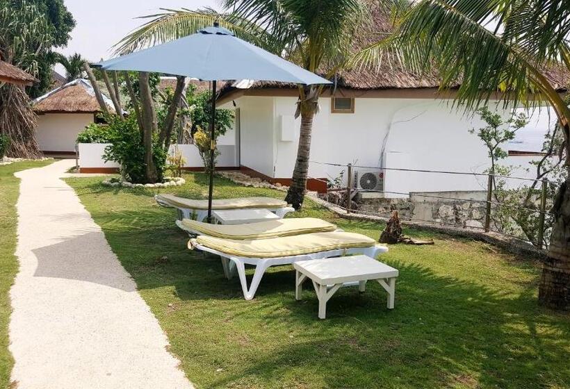 Люкс Премиум, Quo Vadis Dive Resort