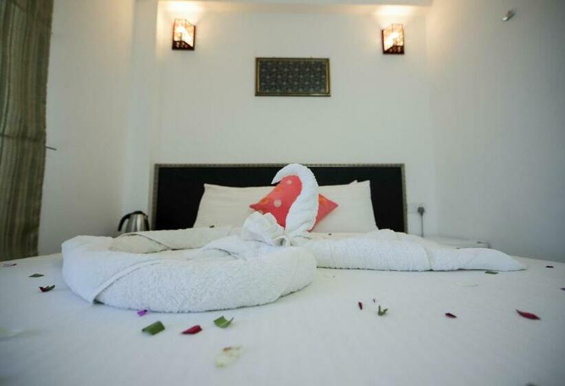 اتاق لوکس با بالکن, Vilu Rest