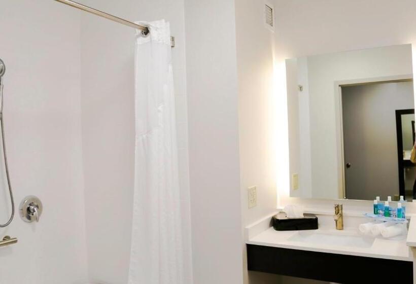 Номер Deluxe Адаптированный для Инвалидов, Holiday Inn Express & Suites Kingston Ulster, An Ihg