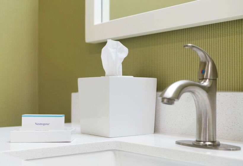 Люкс, Home2 Suites By Hilton Roanoke, Va