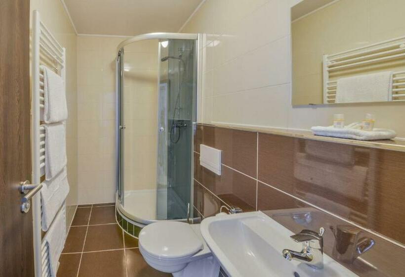 اتاق استاندارد یک نفره, City Hotel Wetzlar