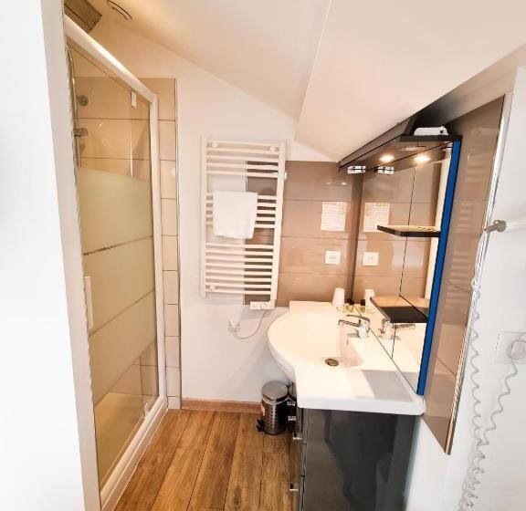 Номер Economy, Hôtel Villa Les Orangers