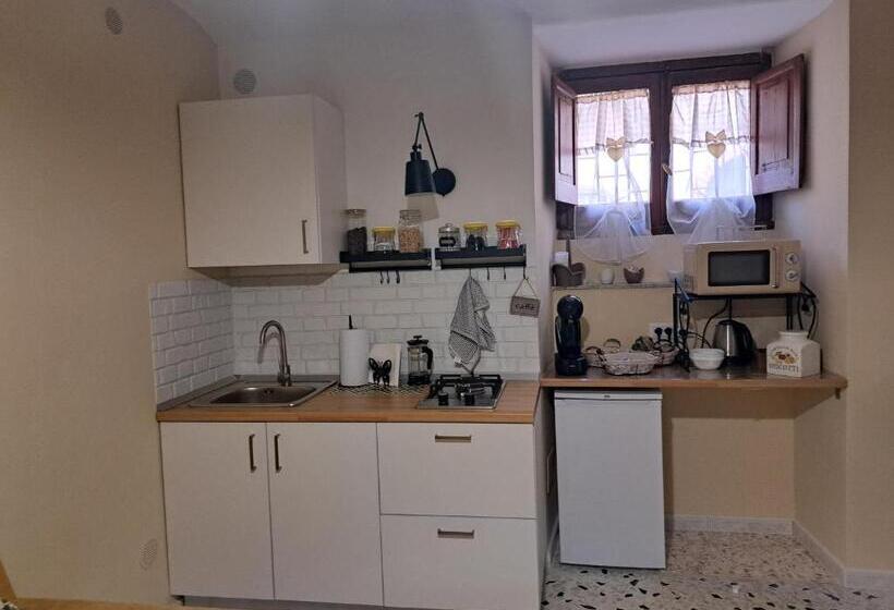 استودیوی استاندارد, B&b Vivilmatese