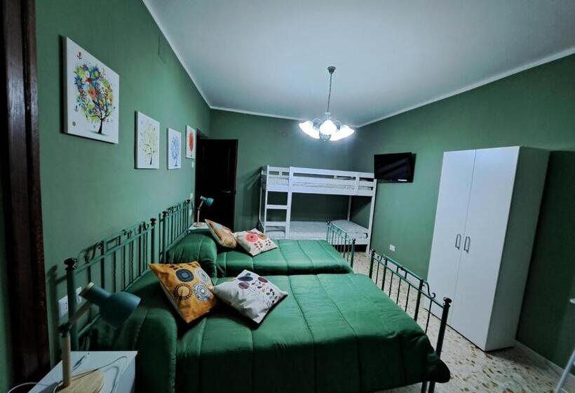 استودیوی استاندارد, B&b Vivilmatese