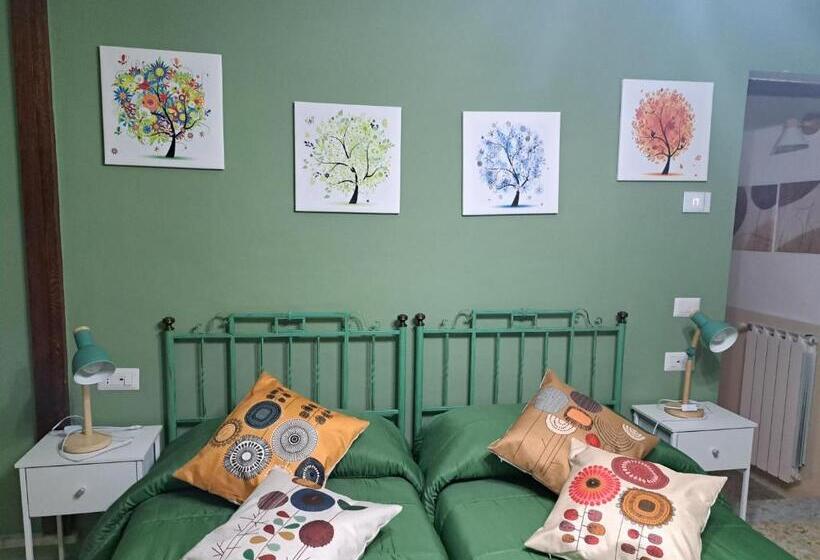 استودیوی استاندارد, B&b Vivilmatese