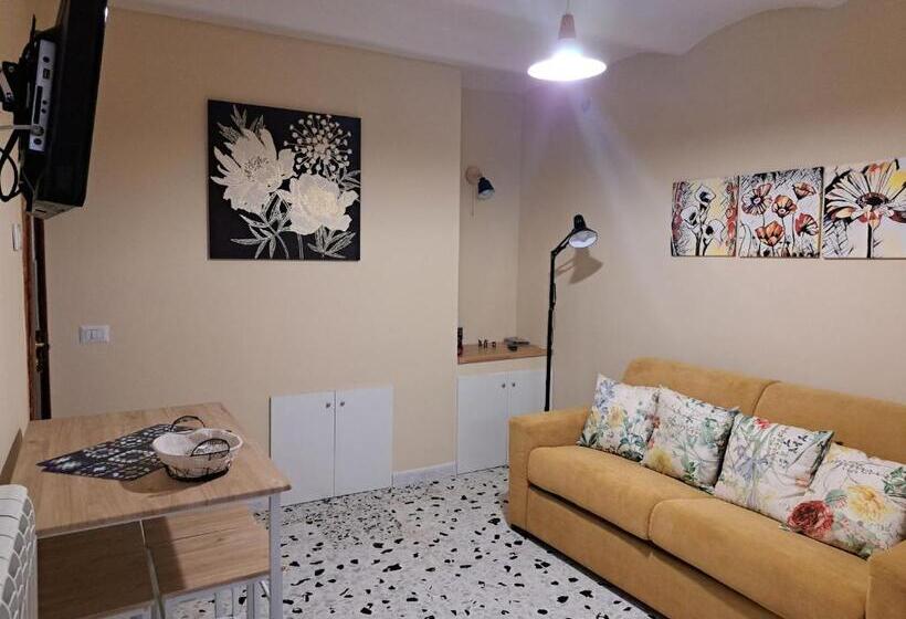استودیوی استاندارد, B&b Vivilmatese