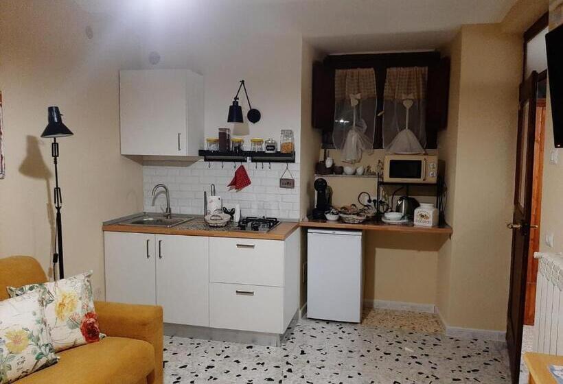 استودیوی استاندارد, B&b Vivilmatese