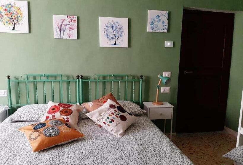 استودیوی استاندارد, B&b Vivilmatese