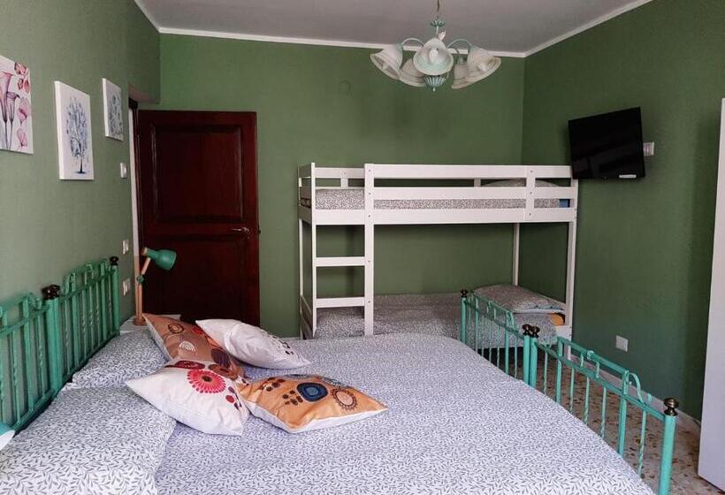 استودیوی استاندارد, B&b Vivilmatese