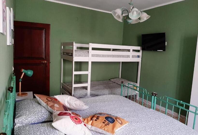 استودیوی استاندارد, B&b Vivilmatese