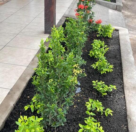 اتاق استاندارد با چشم‌انداز دریا, Oasis Natural En Un Paraiso Tropical