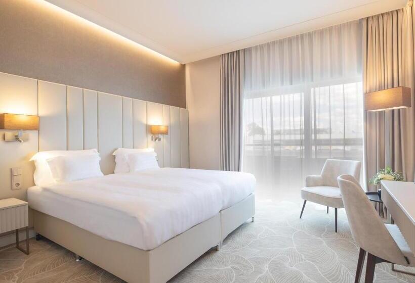 Superior Room with Terrace, Gerardus