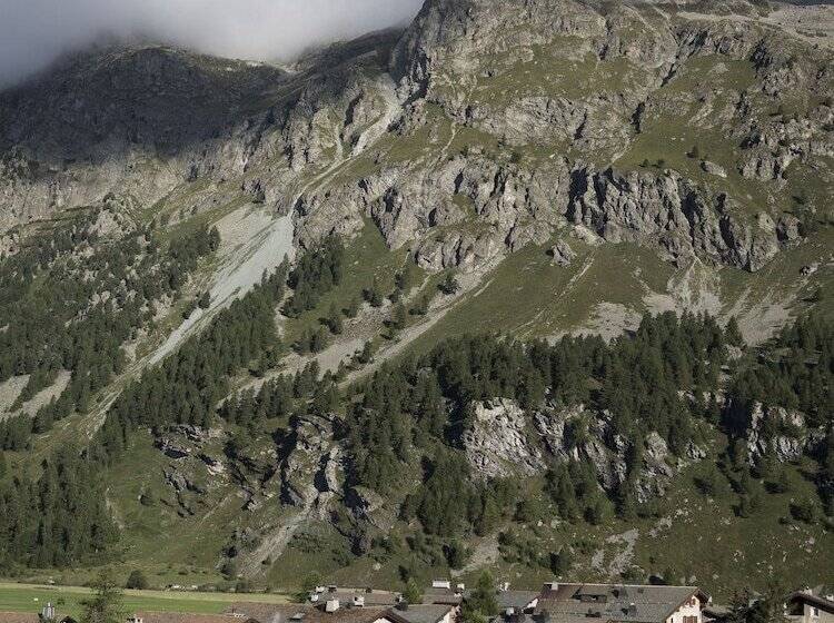 Номер Стандарт, Cervo