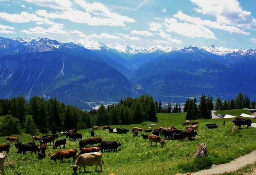 Шале 1 Спальня, Le Mayen De Colombire