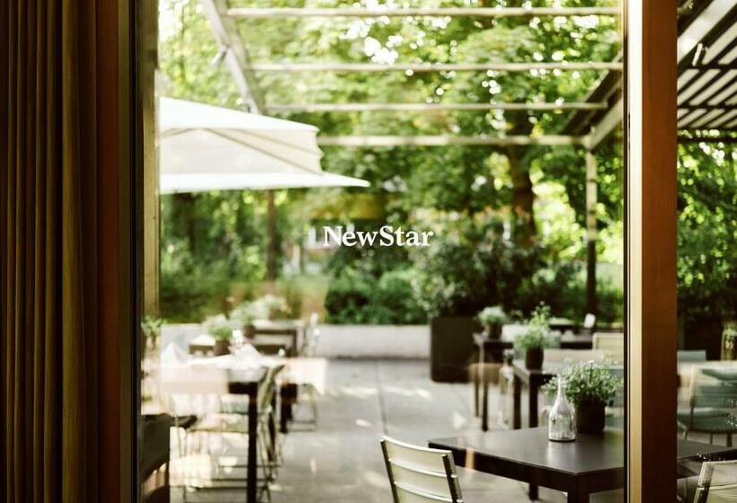 اتاق استاندارد یک نفره, Newstar