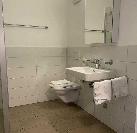Standard Stúdió Szoba, Swiss Bellevue