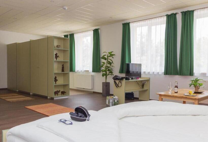 １ベッドルームアパートメント, Winrooms Hotel&appartement