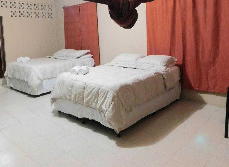 سوئیت جونیور خانوادگی, Arnold's Guest House