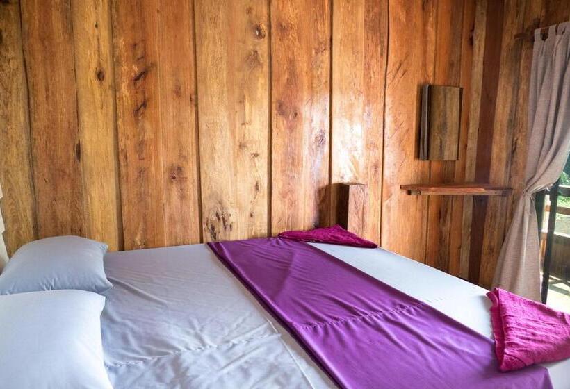 Quarto standard, Two Ducks