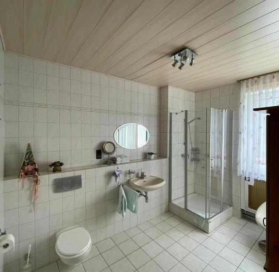 Номер Стандарт, Rheinhotel Kelch