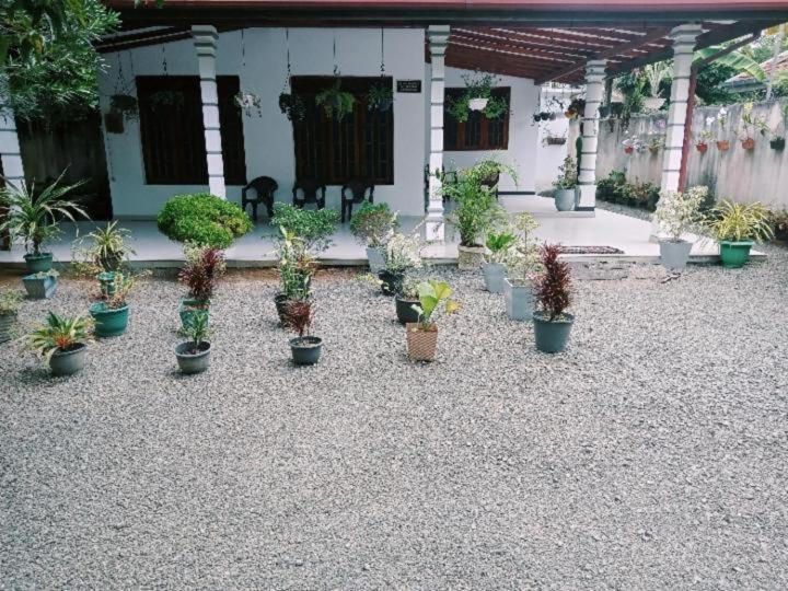اتاق استاندارد با چشم‌انداز باغ, Mirissa Home Guest