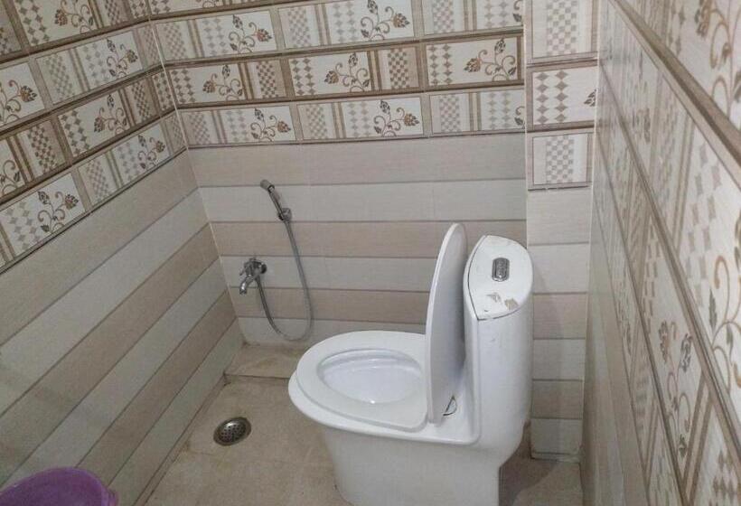 Трехместный Номер Классика, Oyo Flagship Hotel Pushpanjali