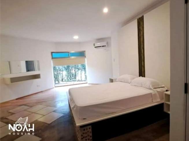 스위트, Noah Housing
