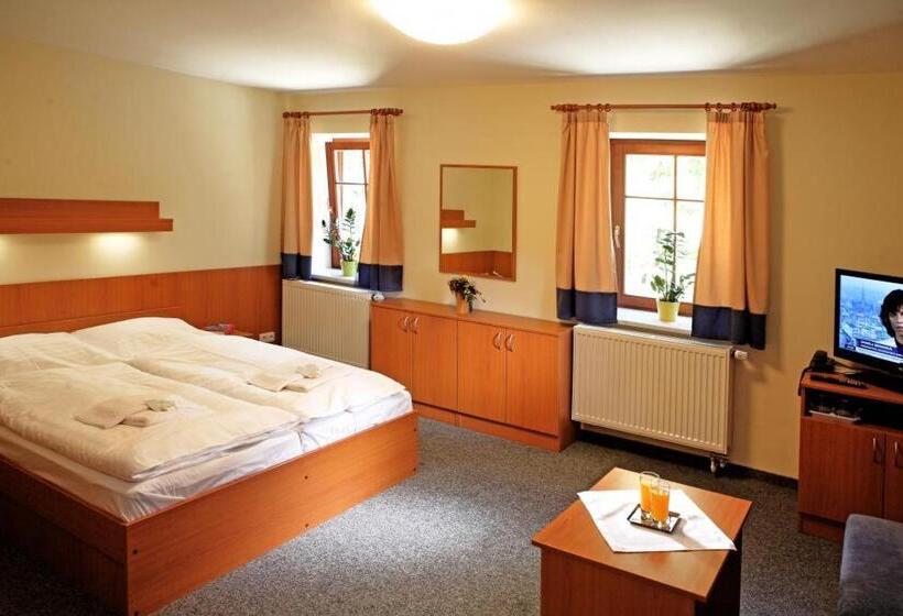 スタンダード４人部屋, Penzion čítkův Mlýn