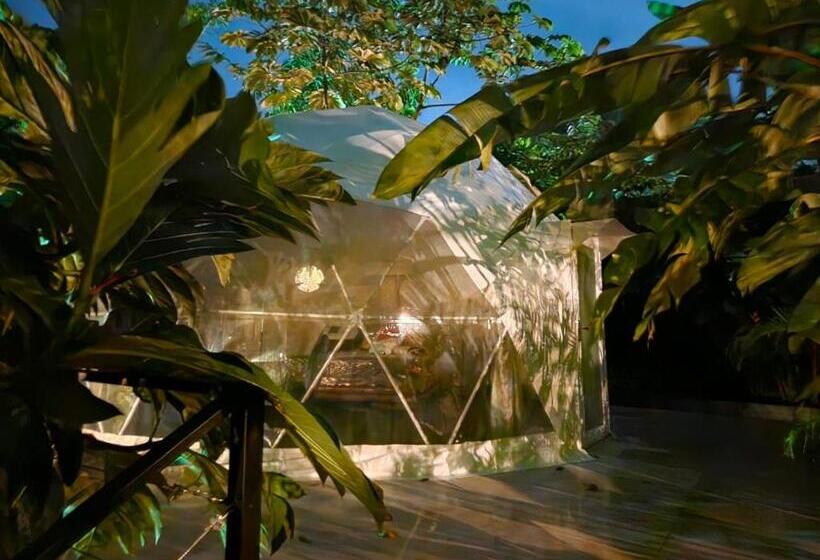套房, Palo Alto Glamping