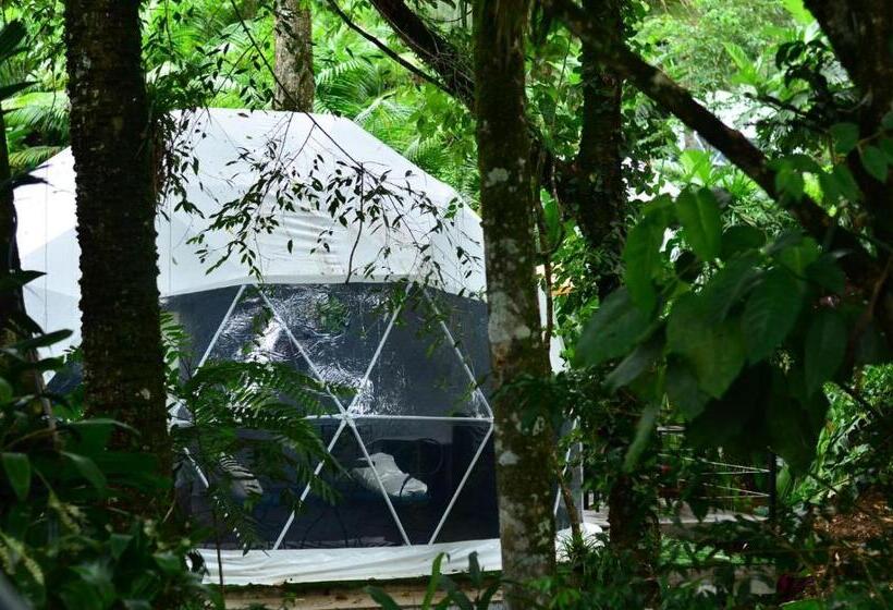 套房, Palo Alto Glamping