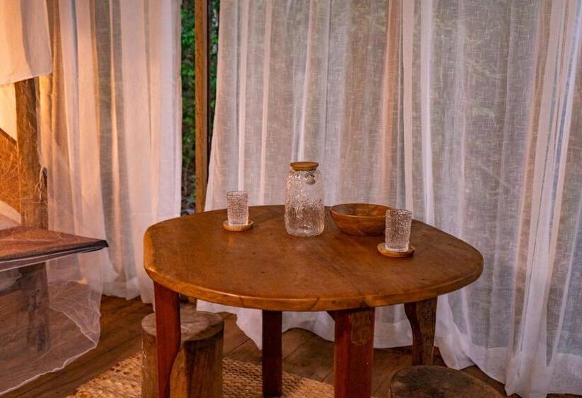اتاق استاندارد با چشم‌انداز باغ, Aparthotel Ayahuaska For Solo Travelers
