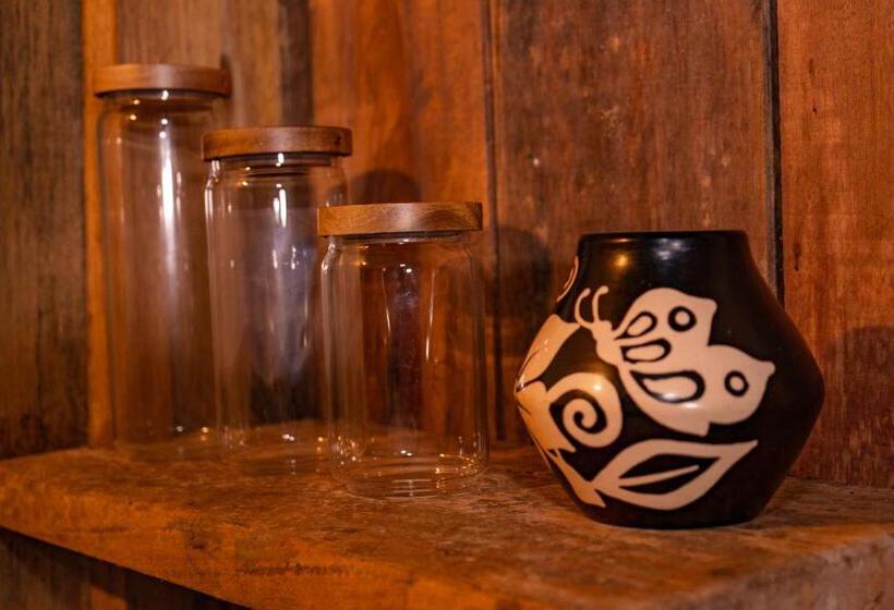 اتاق استاندارد با چشم‌انداز باغ, Aparthotel Ayahuaska For Solo Travelers