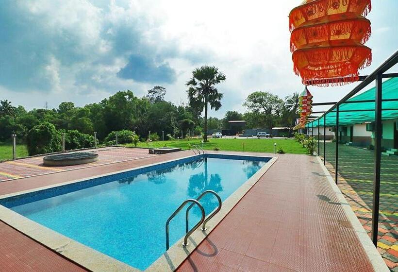 标准间, Light House Beach Resort