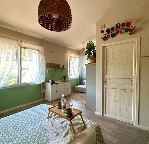 Номер Стандарт, Amagi Home