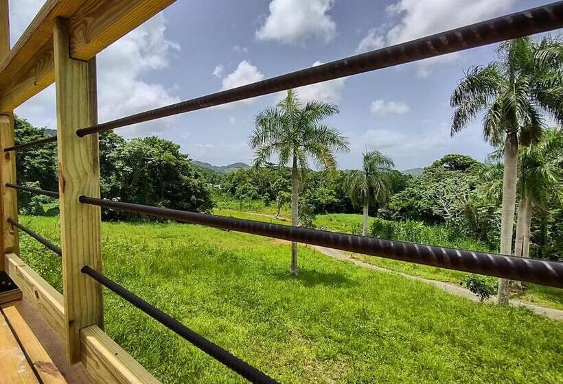 اتاق استاندارد با چشم‌انداز کوهستان, Tierra Adentro Bed And Breakfast