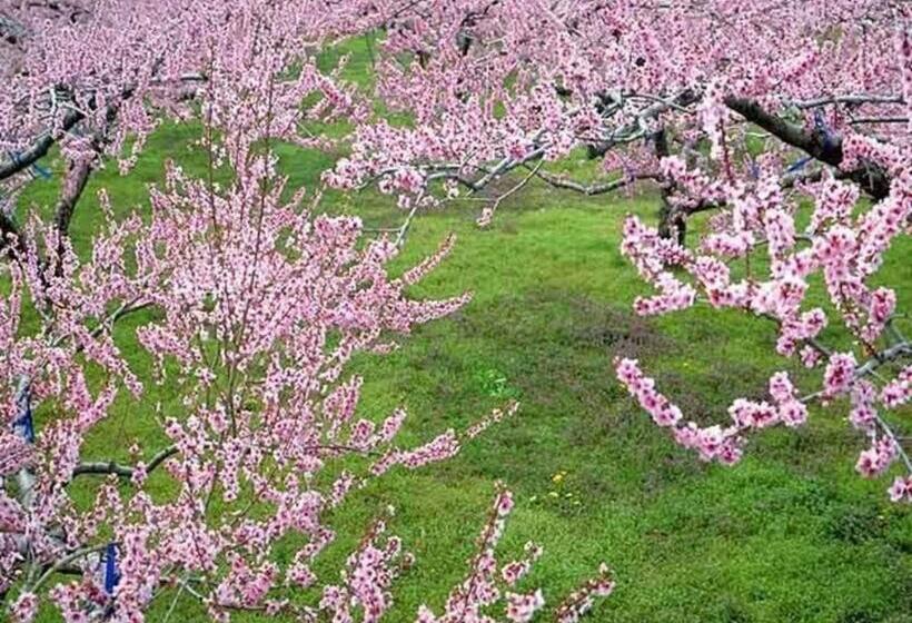 استودیوی استاندارد, Isawa Onsen Hotel Kakyo   Vacation Stay 90651v