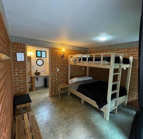 Номер Стандарт 2 Двуспальные Кровати, Hostal La Roca
