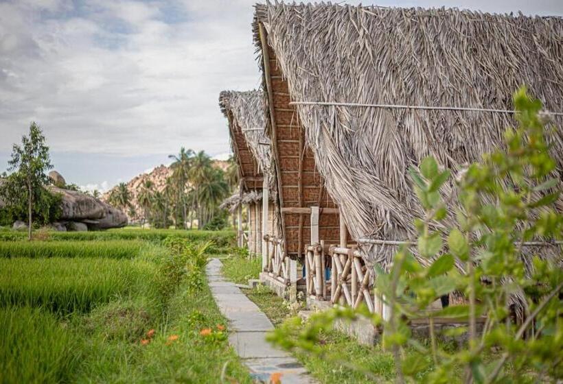 اتاق استاندارد با بالکن, Om Home Hampi
