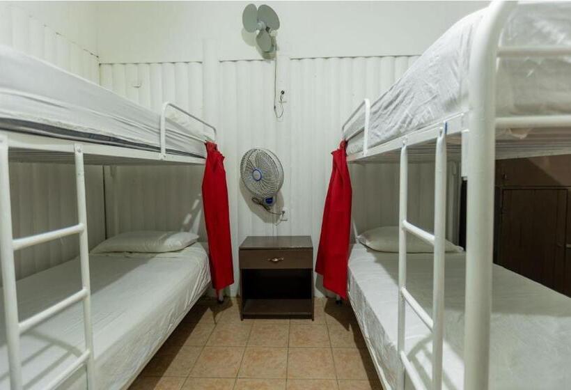Кровать в Общей Комнате, Hostel Saltwater