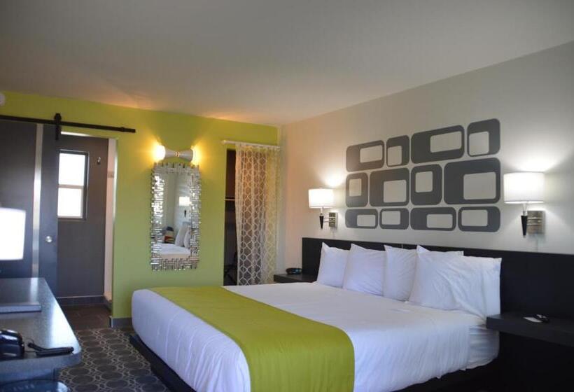스탠다드 룸 킹사이즈 침대, University Inn Asu/tempe
